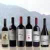 Calchaqui Valley Collection 2022 (one of each) - Argentina